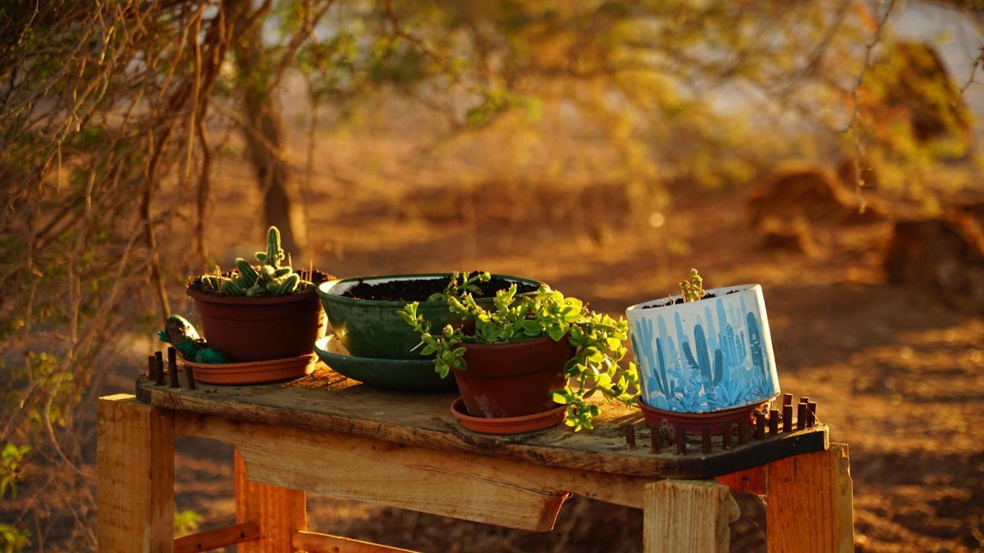 La Huaica El Huarango Eco Retreatヴィラ エクステリア 写真